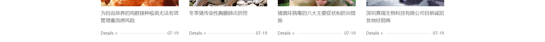 深圳網(wǎng)站設計公司_響應式網(wǎng)站_外貿(mào)網(wǎng)站_深圳網(wǎng)站建設