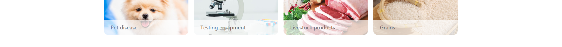 深圳網(wǎng)站設計公司_響應式網(wǎng)站_外貿(mào)網(wǎng)站_深圳網(wǎng)站建設