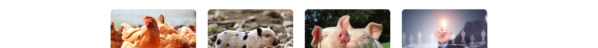 深圳網(wǎng)站設計公司_響應式網(wǎng)站_外貿(mào)網(wǎng)站_深圳網(wǎng)站建設