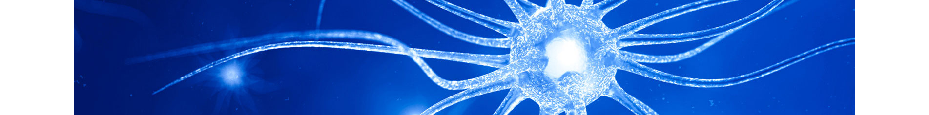 智能芯片_響應式網(wǎng)站_深圳網(wǎng)站制作_公司網(wǎng)站建設