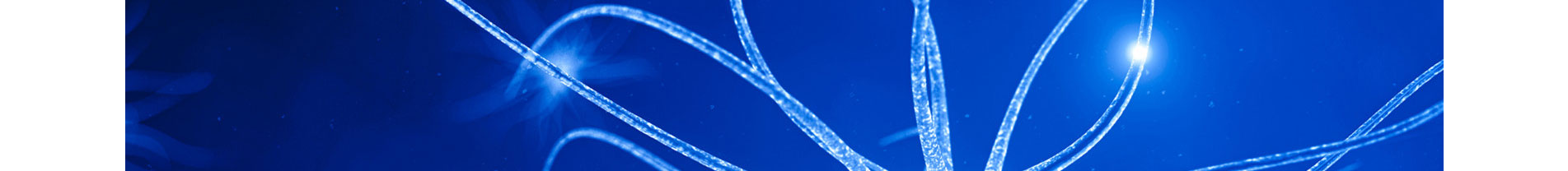 智能芯片_響應式網(wǎng)站_深圳網(wǎng)站制作_公司網(wǎng)站建設